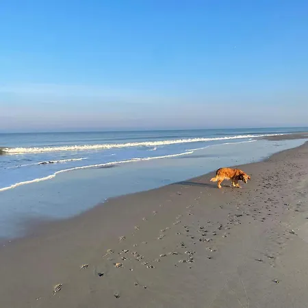 Nyaraló 13,000 Sqm Nature Plot Right Down To The Ringkøbing