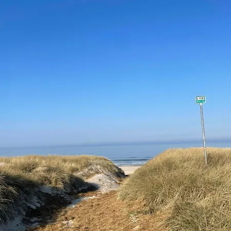 Casa vacanze 13,000 Sqm Nature Plot Right Down To The Ringkøbing