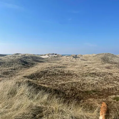 Casa vacanze 13,000 Sqm Nature Plot Right Down To The Ringkøbing