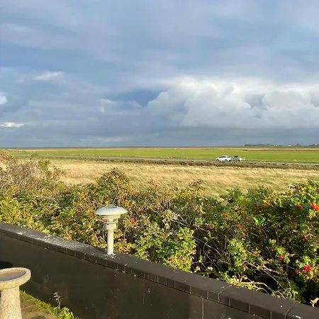 13,000 Sqm Nature Plot Right Down To The