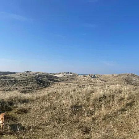 13,000 Sqm Nature Plot Right Down To The Prázdninový dům Ringkøbing