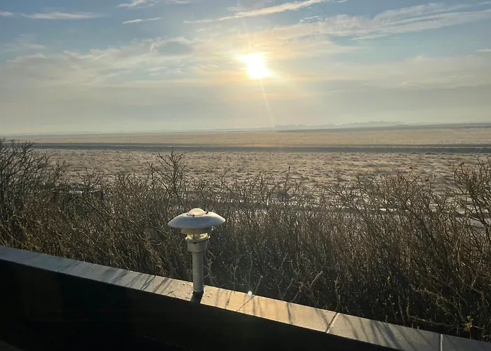 13,000 Sqm Nature Plot Right Down To The *