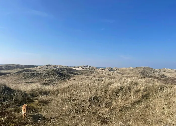 13,000 Sqm Nature Plot Right Down To The Сasa de vacaciones Ringkøbing